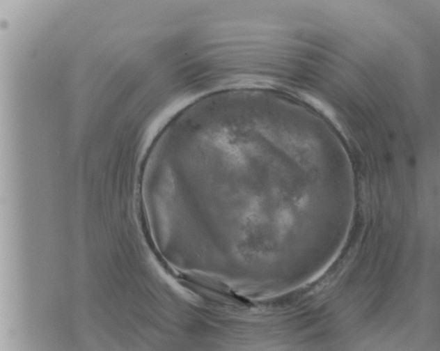 X0000074341379200609082046