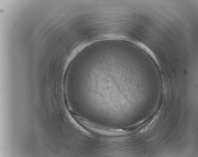 X0000074341381200609082046