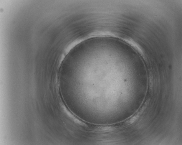 X0000074341382200609082046