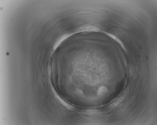 X0000074341383200609082046