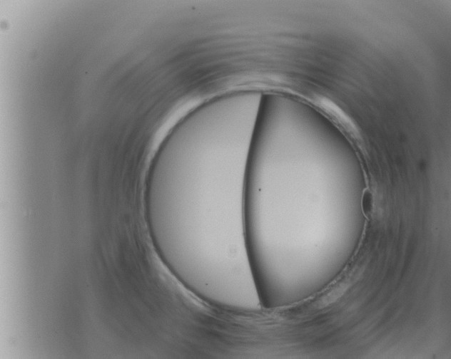 X0000074341384200609082046