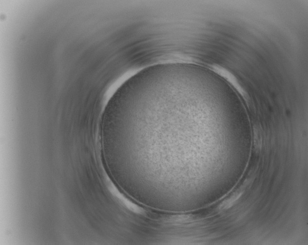 X0000074341387200609082046