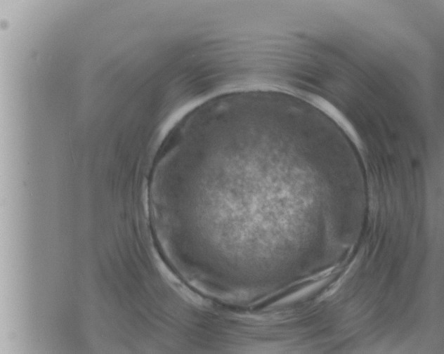 X0000074341388200609082046