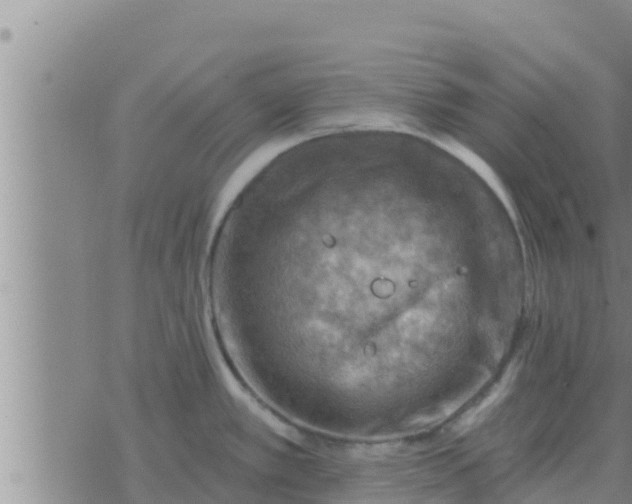 X0000074341389200609082046