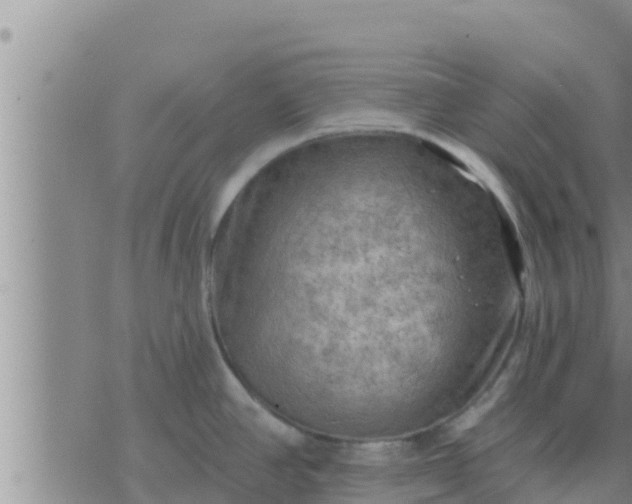 X0000074341390200609082046