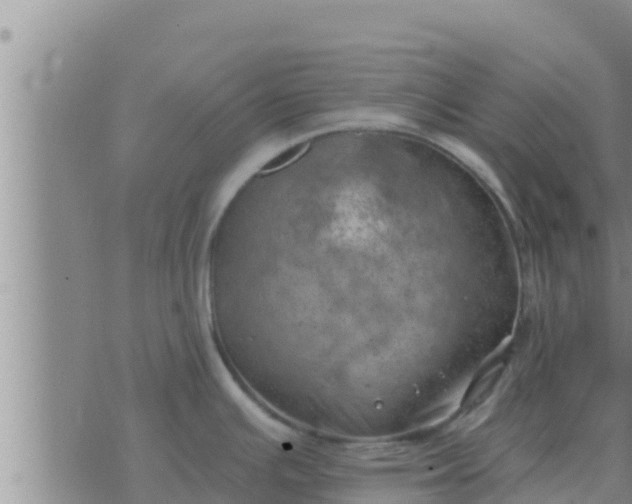 X0000074341391200609082046