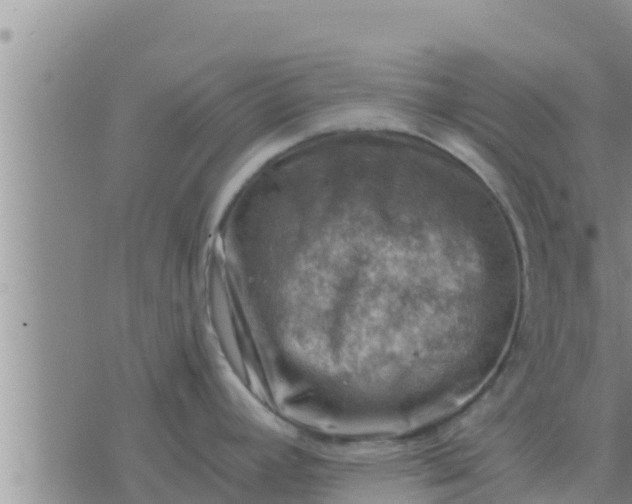 X0000074341392200609082046