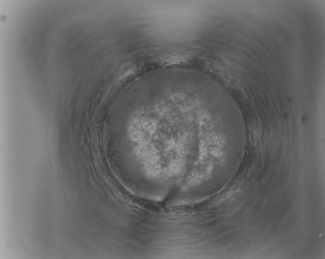 X0000074341393200609082045