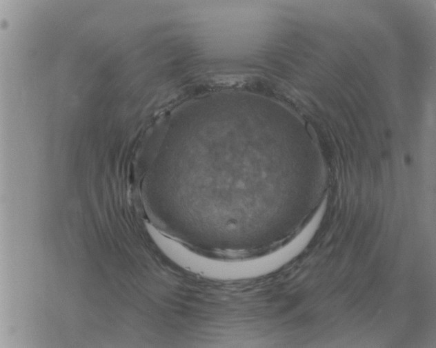 X0000074341394200609082045