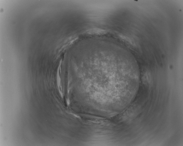 X0000074341397200609082045