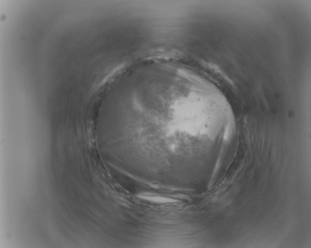 X0000074341399200609082045