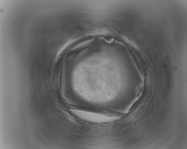 X0000074341400200609082045