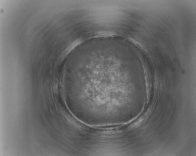 X0000074341401200609082045