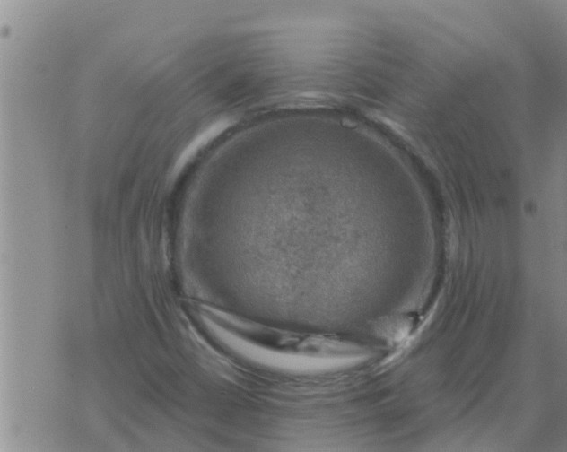 X0000074341402200609082045