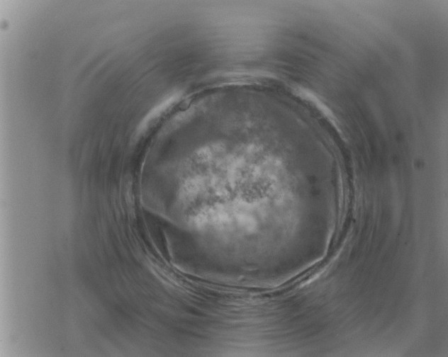 X0000074341403200609082045