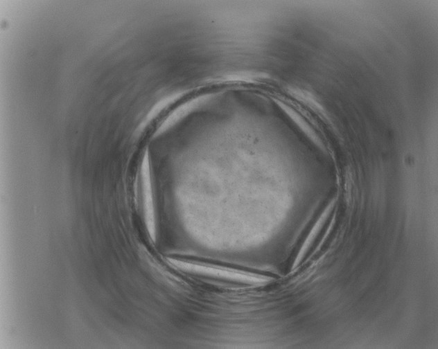 X0000074341404200609082045