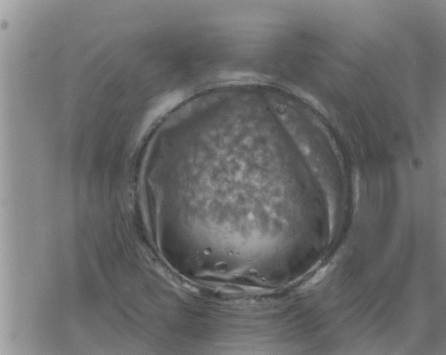 X0000074341405200609082045