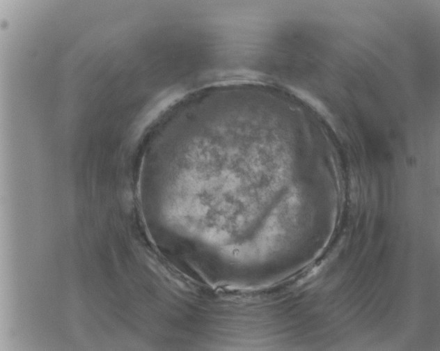 X0000074341407200609082045