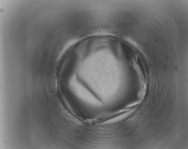 X0000074341408200609082045