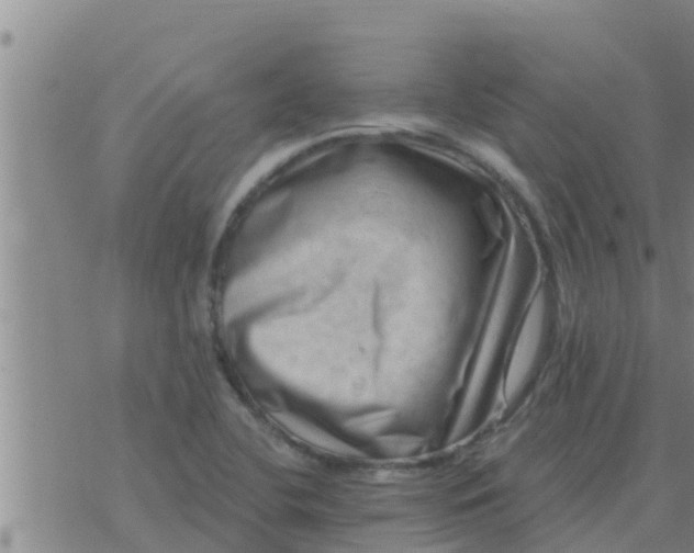 X0000074341412200609082046