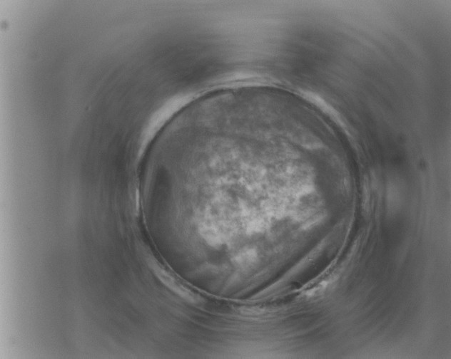 X0000074341413200609082046