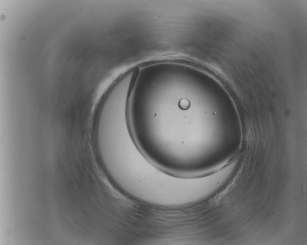 X0000074341414200609082046