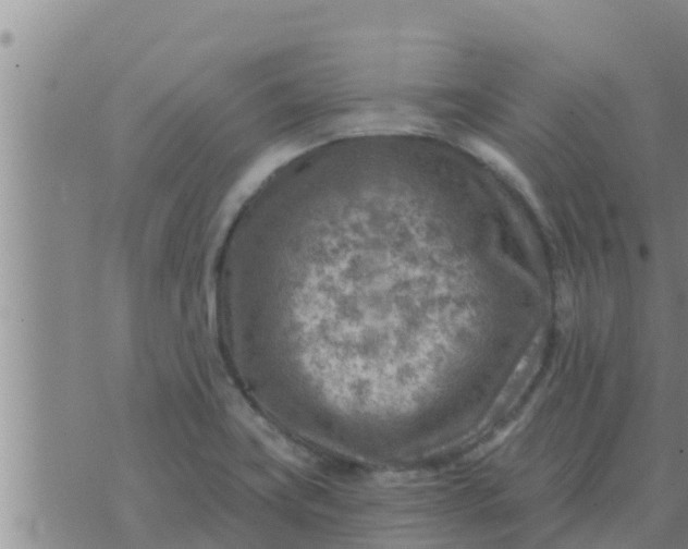 X0000074341419200609082046