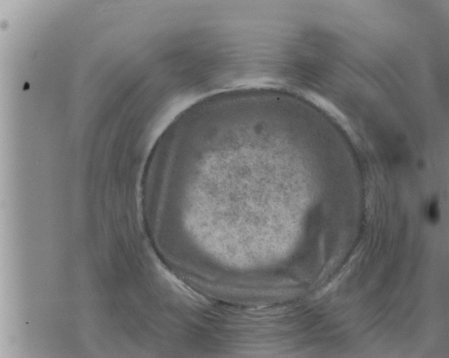 X0000074341423200609082046