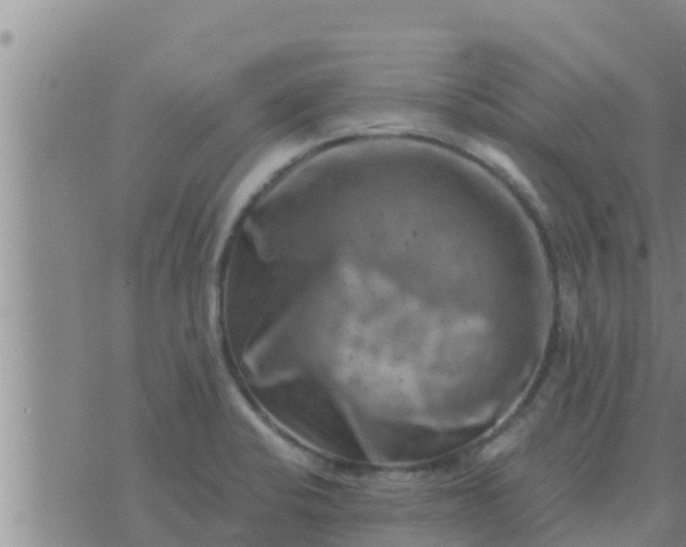 X0000074341424200609082046