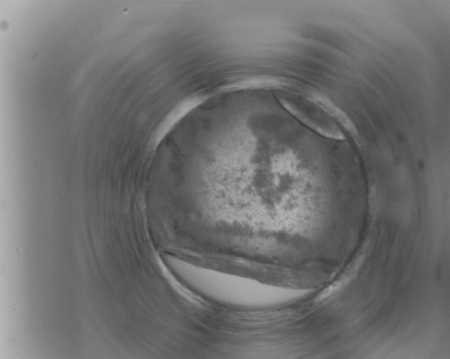 X0000074341425200609082046