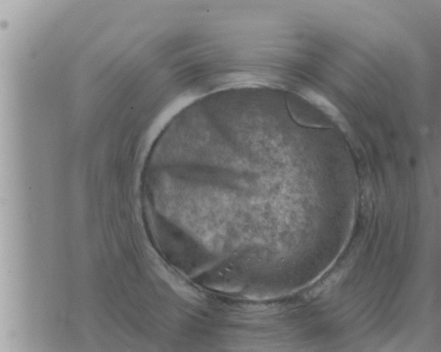 X0000074341427200609082046