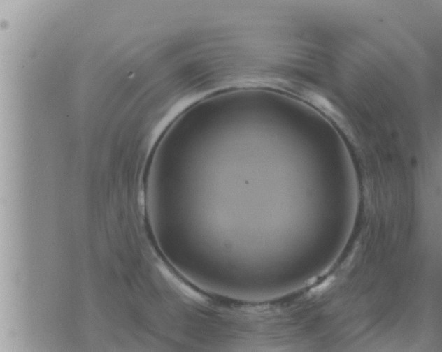 X0000074341428200609082046