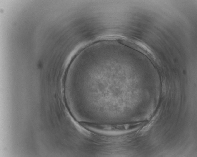 X0000074341430200609082046