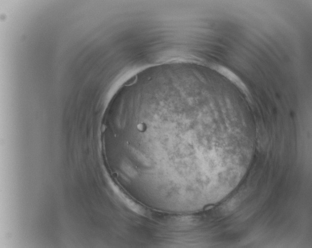 X0000074341431200609082046