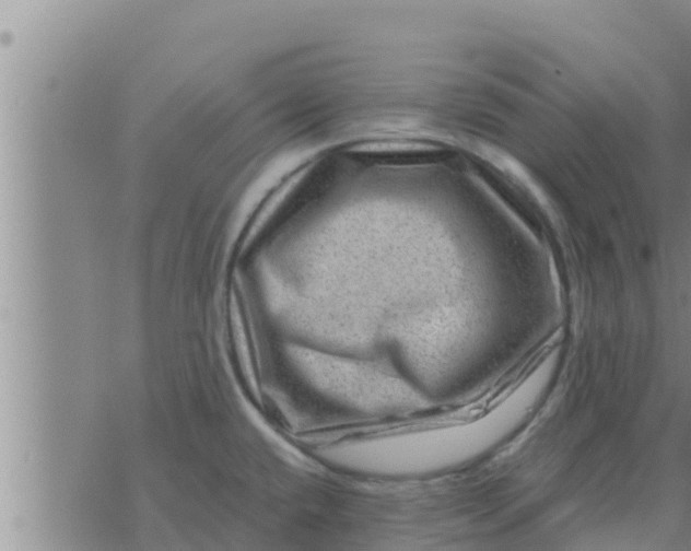 X0000074341432200609082046