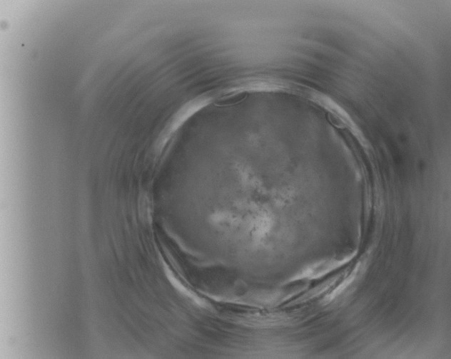 X0000074341433200609082046