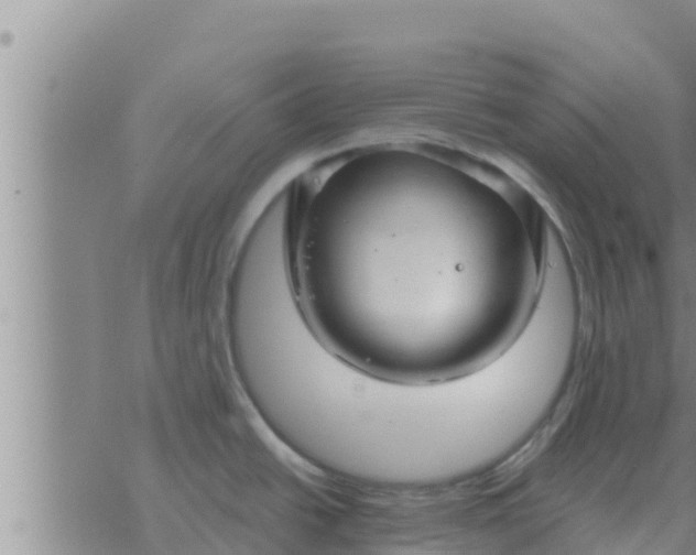 X0000074341438200609082046