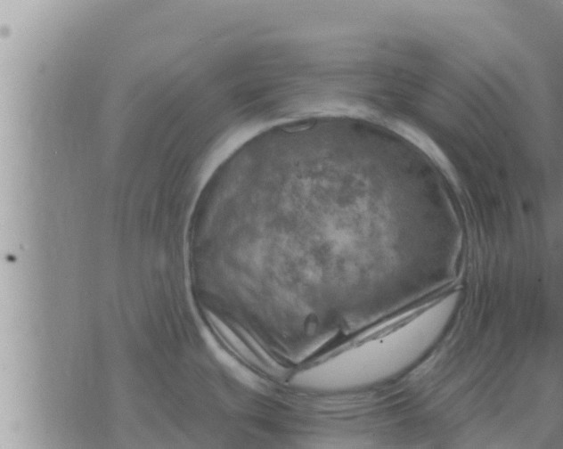 X0000074341439200609082046