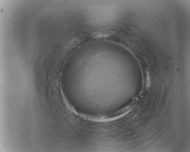 X0000074341441200609082045