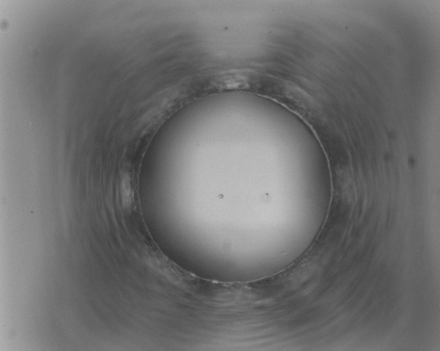 X0000074341442200609082045