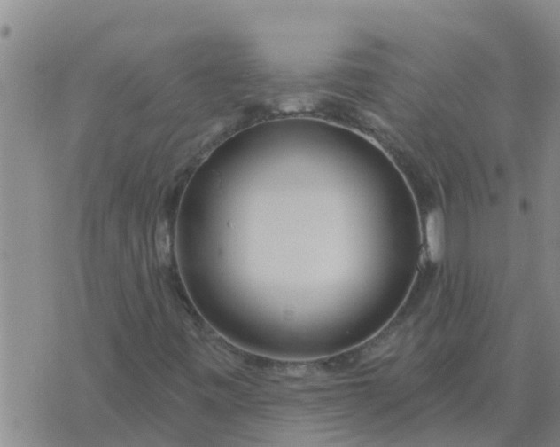 X0000074341443200609082045