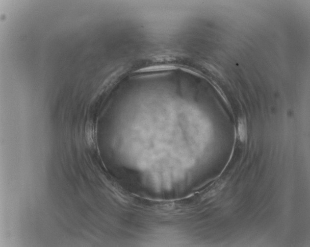 X0000074341444200609082045