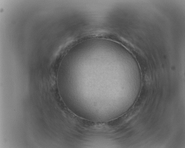 X0000074341447200609082045