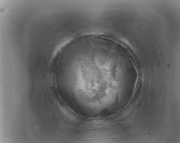 X0000074341448200609082045