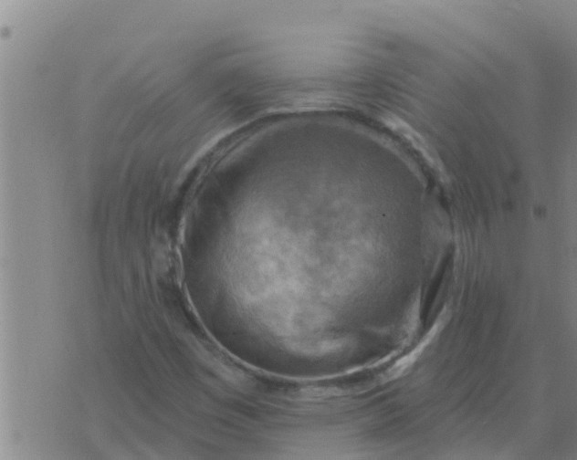 X0000074341449200609082045