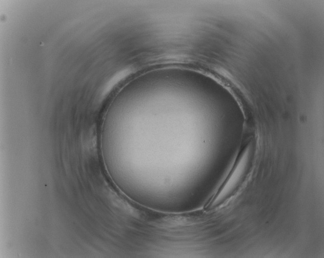 X0000074341450200609082045