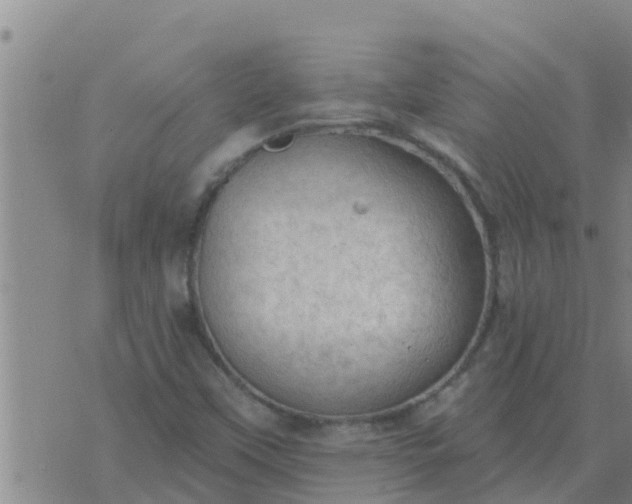 X0000074341451200609082045