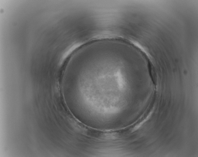 X0000074341453200609082045