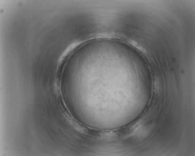 X0000074341454200609082045