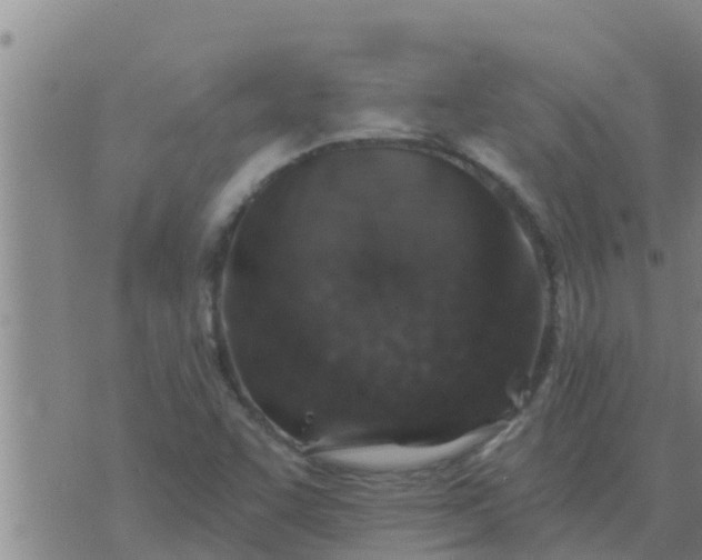 X0000074341455200609082045